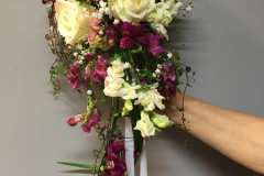 IMG_3178