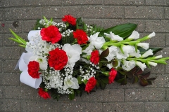 pa050043-pieni