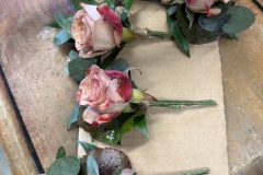 IMG_8677